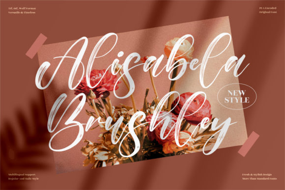 Alisabela Brushley: The Stylish Script for Modern Design