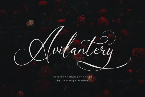 Avilantery: The Elegant Calligraphy Script for Modern Design