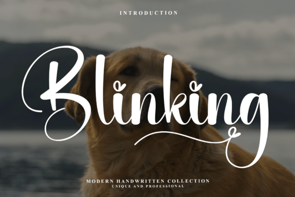 Blinking: Crafting Elegance with Modern Calligraphy