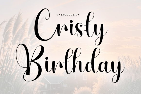 Cristy Birthday: Elevating Design with Artisanal Script Typography